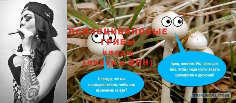 Галлюциногенные грибы Magic Shrooms  сколько стоит  Миасс 